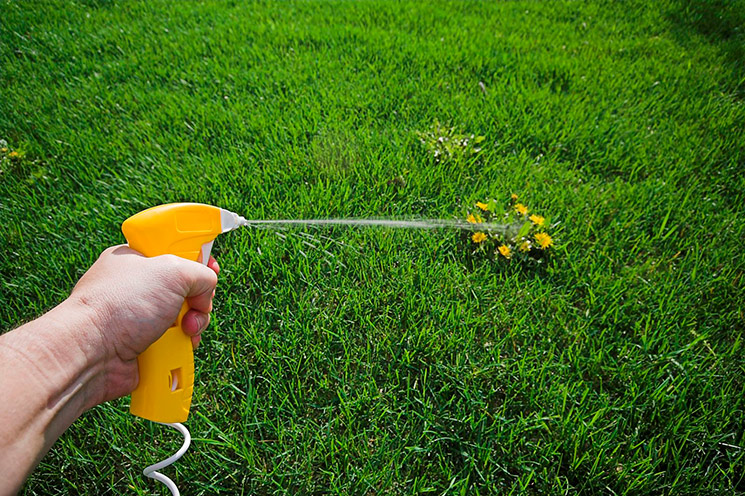 Химическая обработка