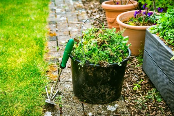 Пример работы 1