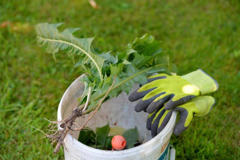 Пример работы 3